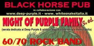 Deep Purple Night 2008